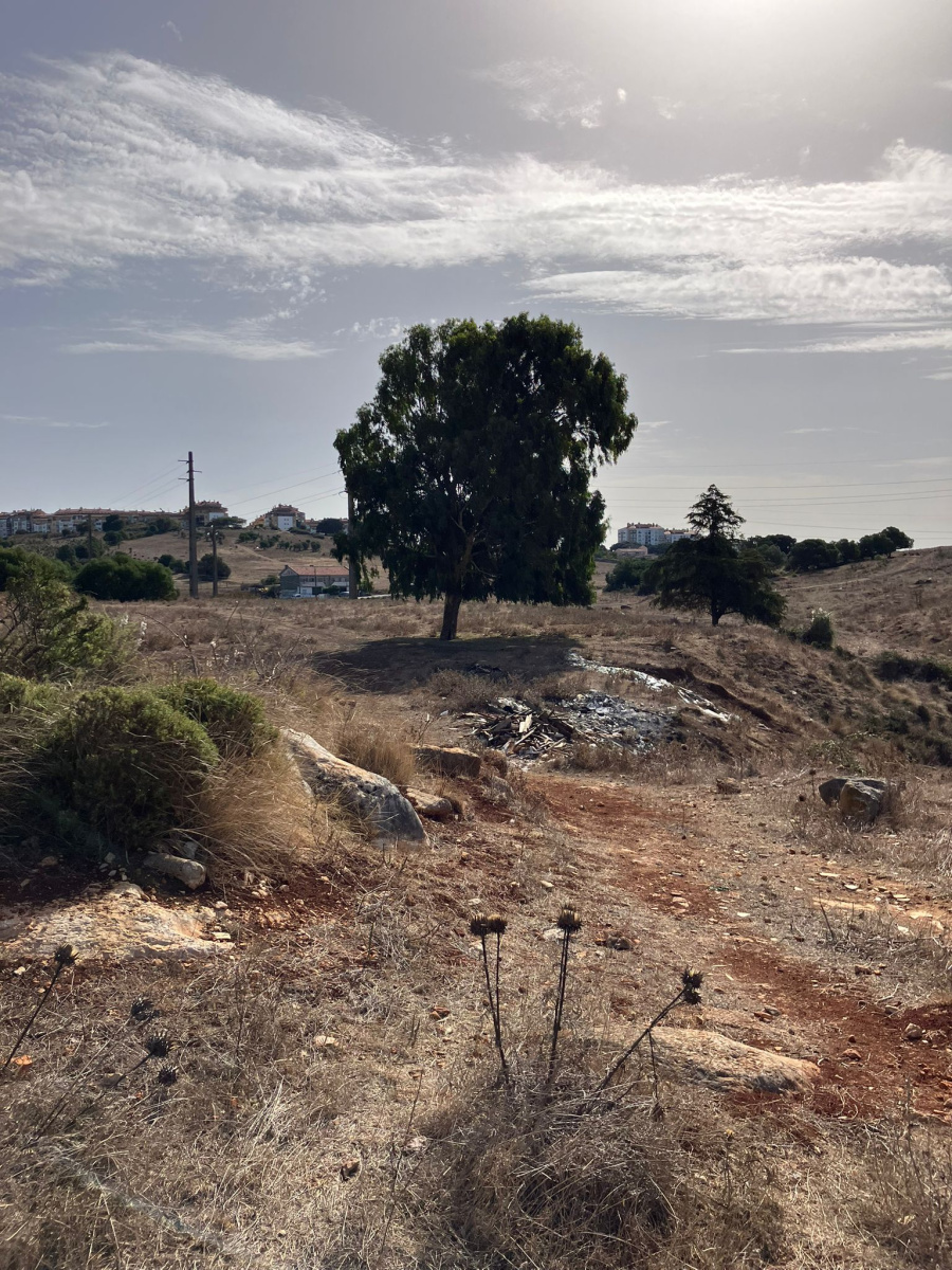 Agualva Cacém: Bloco insiste na criação de parque natural e cultural no Alto de Colaride